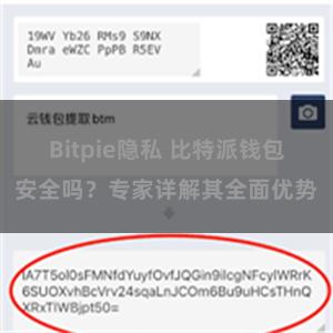 Bitpie隐私 比特派钱包安全吗？专家详解其全面优势