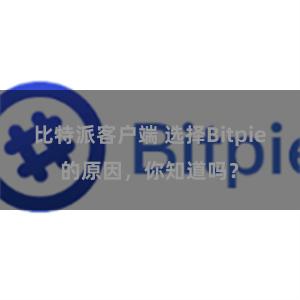 比特派客户端 选择Bitpie的原因，你知道吗？