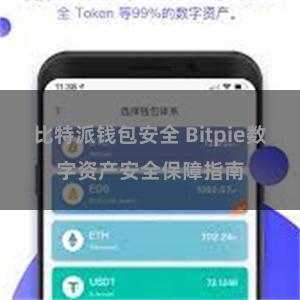 比特派钱包安全 Bitpie数字资产安全保障指南