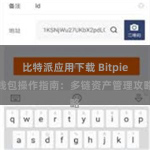 比特派应用下载 Bitpie钱包操作指南：多链资产管理攻略