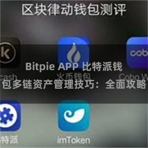 Bitpie APP 比特派钱包多链资产管理技巧：全面攻略