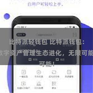 比特派轻钱包 比特派钱包：数字资产管理生态进化，无限可能！