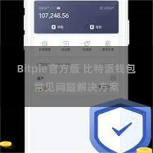 Bitpie官方版 比特派钱包常见问题解决方案