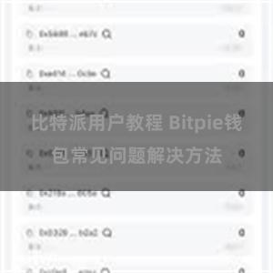 比特派用户教程 Bitpie钱包常见问题解决方法