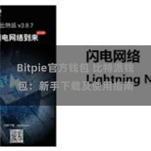 Bitpie官方钱包 比特派钱包：新手下载及使用指南