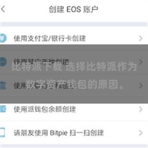 比特派下载 选择比特派作为数字资产钱包的原因。