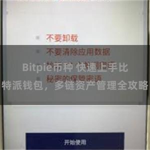 Bitpie币种 快速上手比特派钱包，多链资产管理全攻略