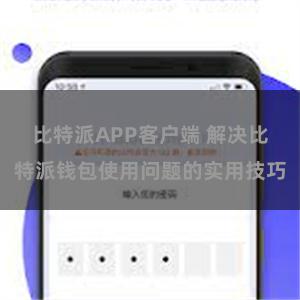 比特派APP客户端 解决比特派钱包使用问题的实用技巧