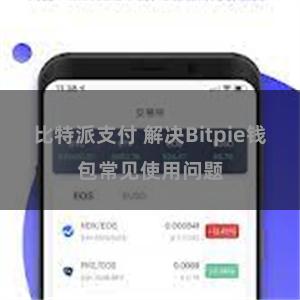 比特派支付 解决Bitpie钱包常见使用问题