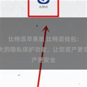 比特派苹果版 比特派钱包：强大的隐私保护功能，让您资产更安全