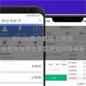 Bitpie用户教程 比特派钱包支持的主要区块链网络解析