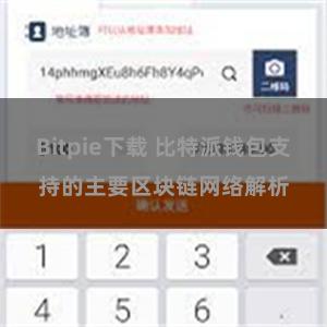 Bitpie下载 比特派钱包支持的主要区块链网络解析