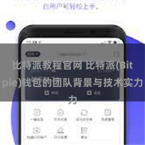 比特派教程官网 比特派(Bitpie)钱包的团队背景与技术实力