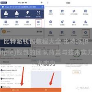 比特派钱包教程大全 比特派(Bitpie)钱包的团队背景与技术实力