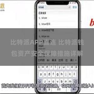 比特派APP直连 比特派钱包资产安全保障措施详解