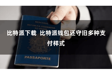 比特派下载  比特派钱包还守旧多种支付样式