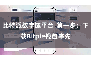 比特派数字链平台  第一步：下载Bitpie钱包率先
